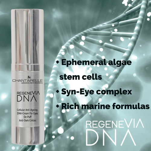 REGENEVIA DNA krem pod oczy, Regeneracja Komórkowa, 15ml, CHANTARELLE